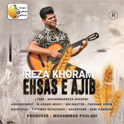 Player Cover